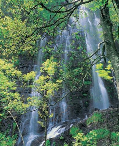Cascada a Seimeira